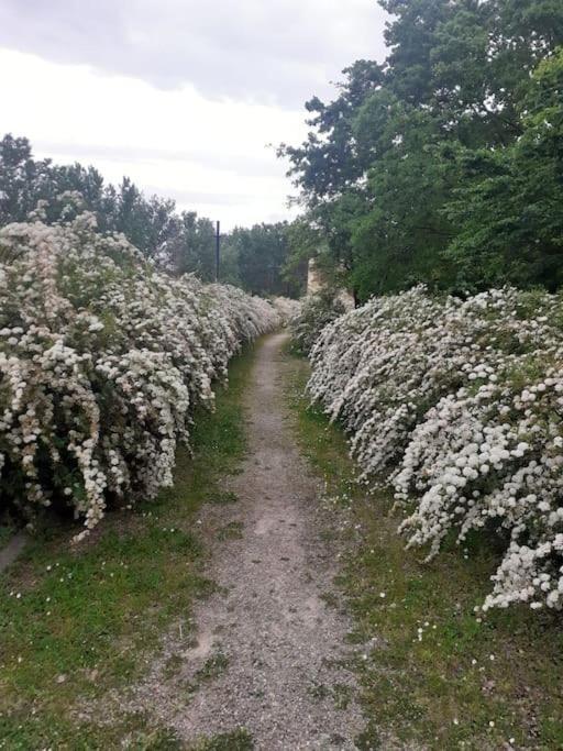 Dalla Rossa Montelupo Fiorentino Kültér fotó